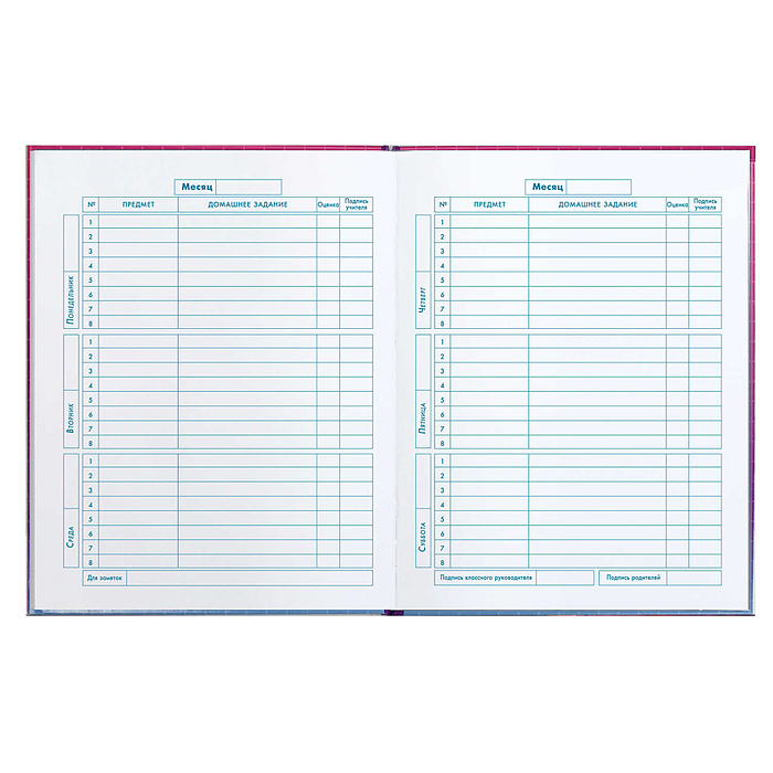 Дневник 1-4 кл., 48 л. "Чиби"