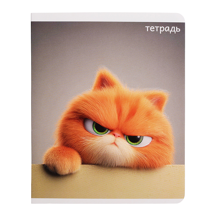 Тетрадь 48 л, клетка "Котяры" А5+, мягкий переплёт (2 скобы)