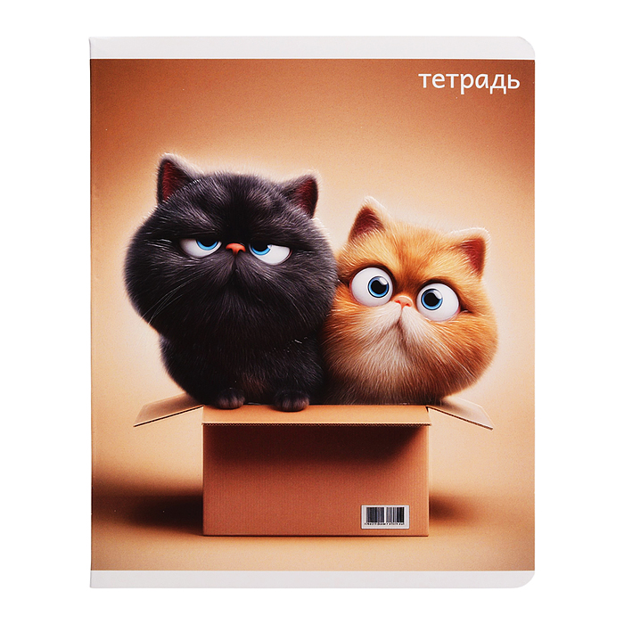 Тетрадь 48 л, клетка "Котяры" А5+, мягкий переплёт (2 скобы)