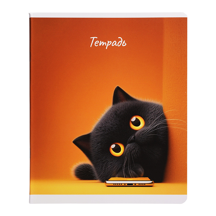 Тетрадь 48 л, клетка "Современные коты" А5+, мягкий переплёт (2 скобы)