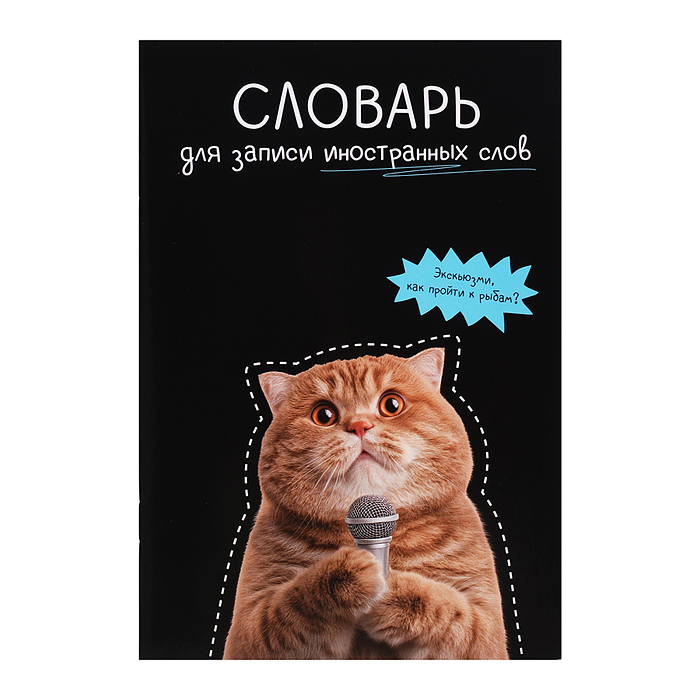 Тетрадь для изучения иностранных слов "Кот с микрофоном" А5, 24 л.