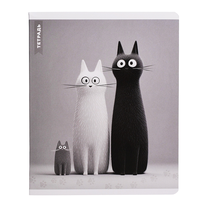 Тетрадь 48 л, клетка "Черно-белые коты" А5+, мягкий переплёт (2 скобы)