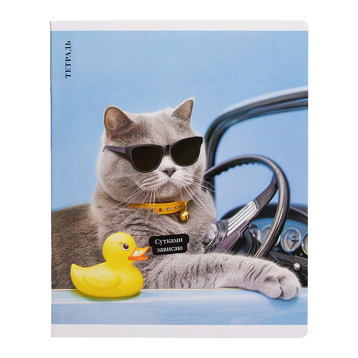 Тетрадь 48 л, клетка "Кот с уткой" А5+, мягкий переплёт (2 скобы)