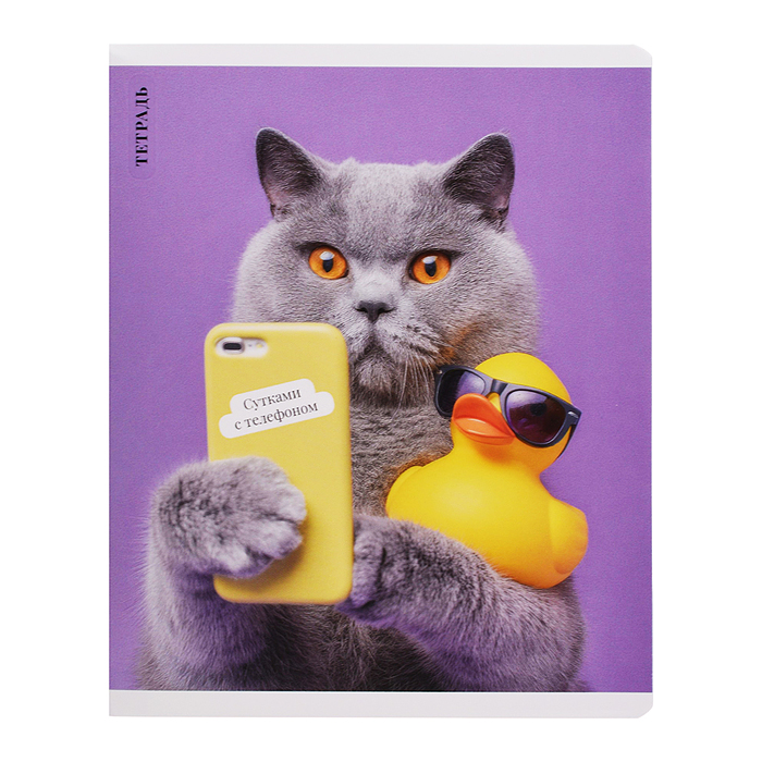 Тетрадь 48 л, клетка "Кот с уткой" А5+, мягкий переплёт (2 скобы)