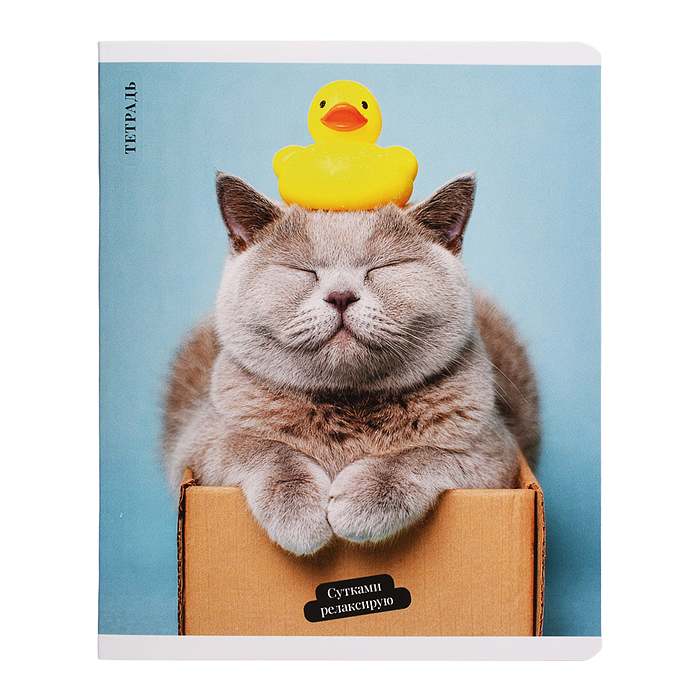 Тетрадь 48 л, клетка "Кот с уткой" А5+, мягкий переплёт (2 скобы)