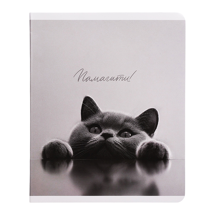 Тетрадь 48 л, клетка "Монохромные коты" А5+, мягкий переплёт (2 скобы)