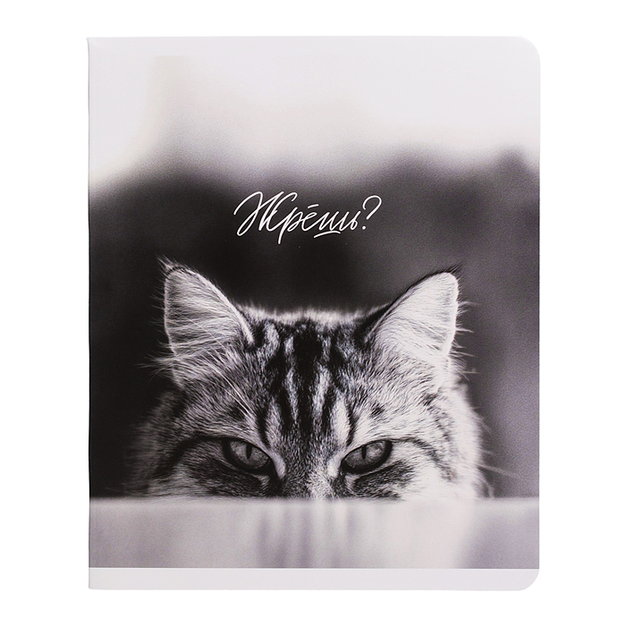 Тетрадь 48 л, клетка "Монохромные коты" А5+, мягкий переплёт (2 скобы)