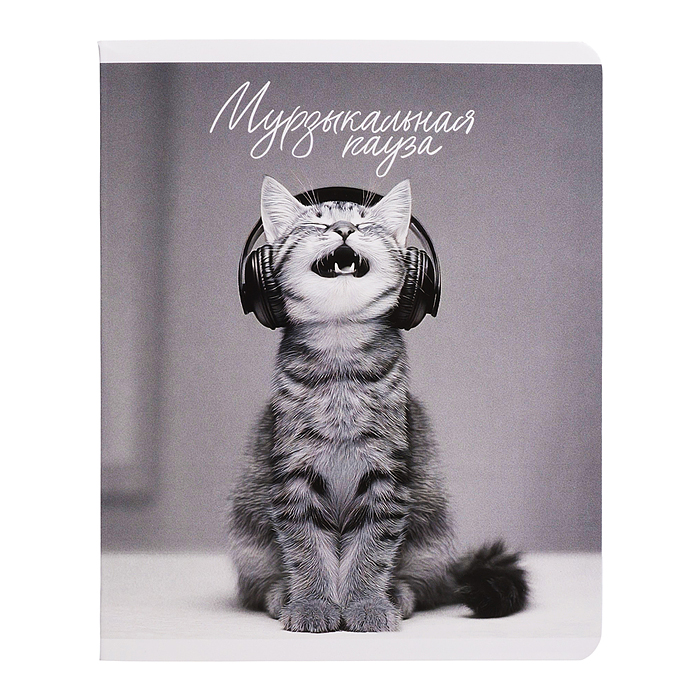 Тетрадь 48 л, клетка "Монохромные коты" А5+, мягкий переплёт (2 скобы)