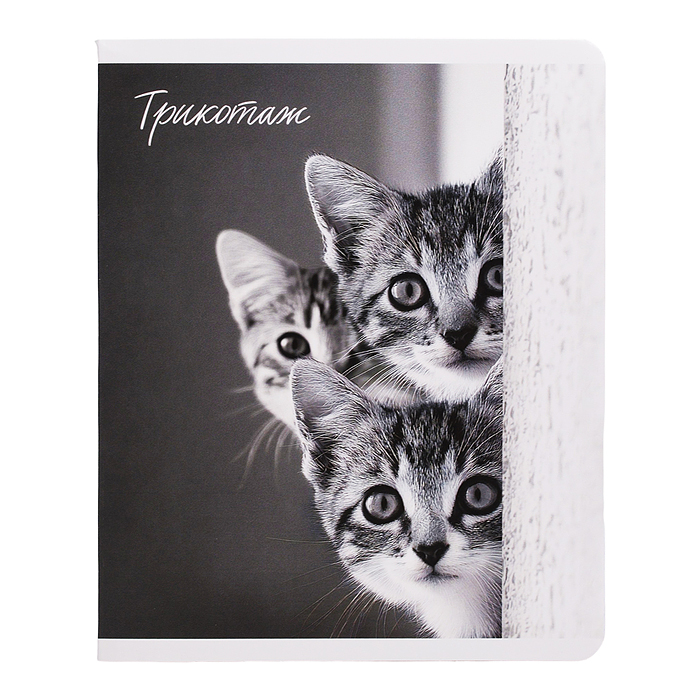Тетрадь 48 л, клетка "Монохромные коты" А5+, мягкий переплёт (2 скобы)