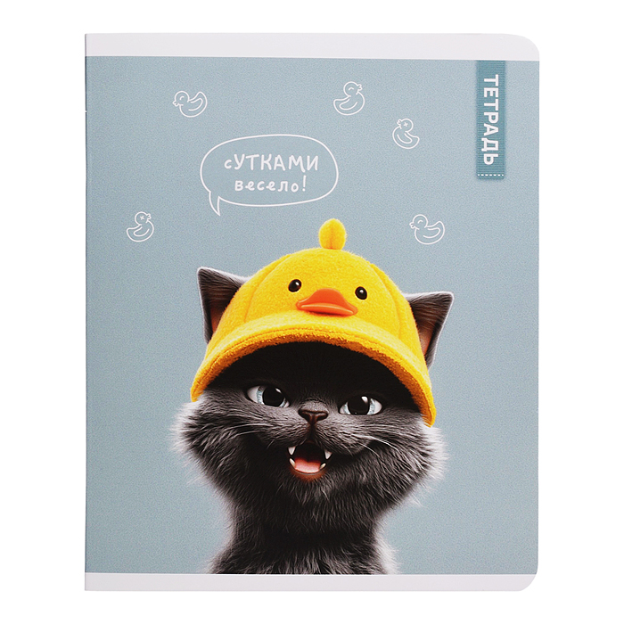 Тетрадь 48 л, клетка "Коты в школе" А5+, мягкий переплёт (2 скобы)