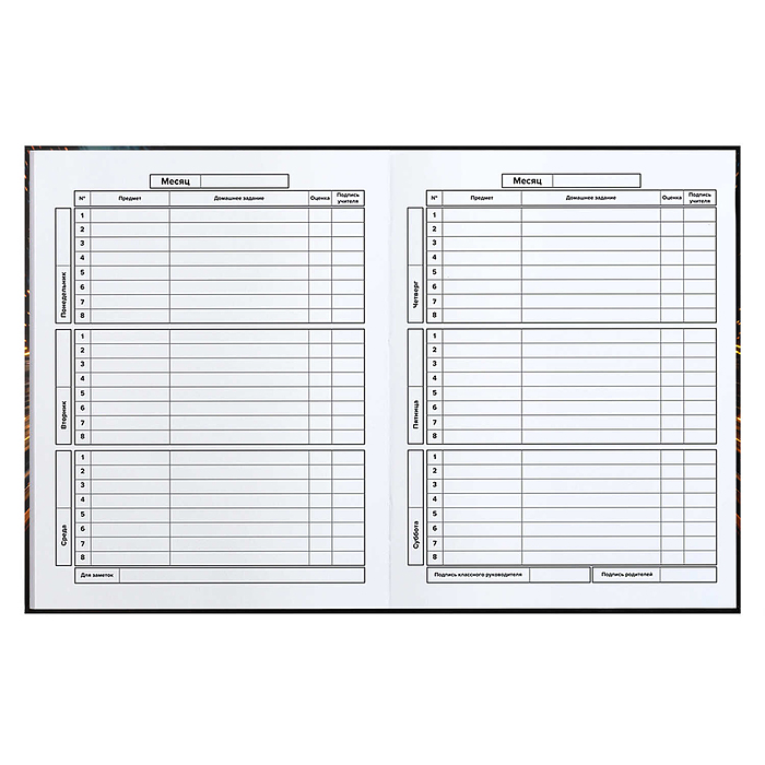 Дневник 1-11 кл. "Чёрный болид"