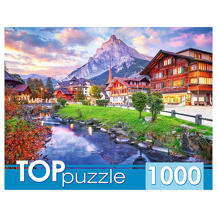 Пазлы 1000 TOPpuzzle "Город в Швейцарии"