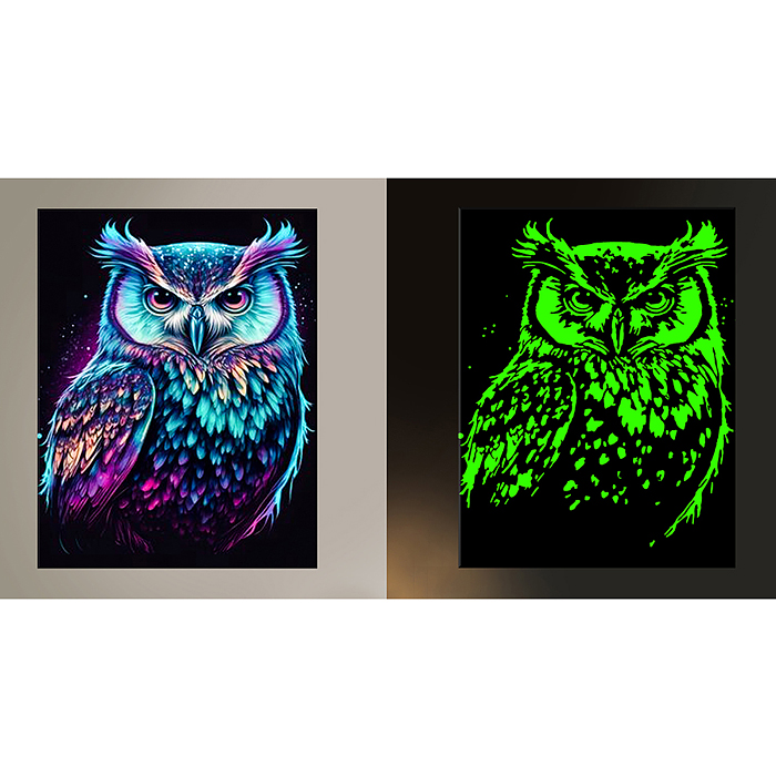 Картина по номерам 30х40 "Ночная сова" черный холст светящаяся краска 20 цветов