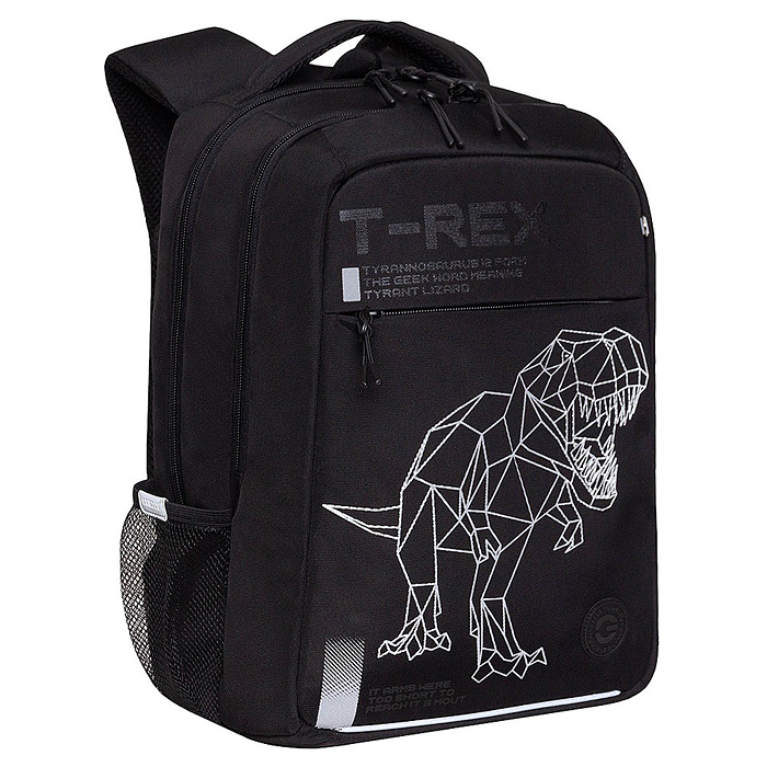 Рюкзак школьный (черный)