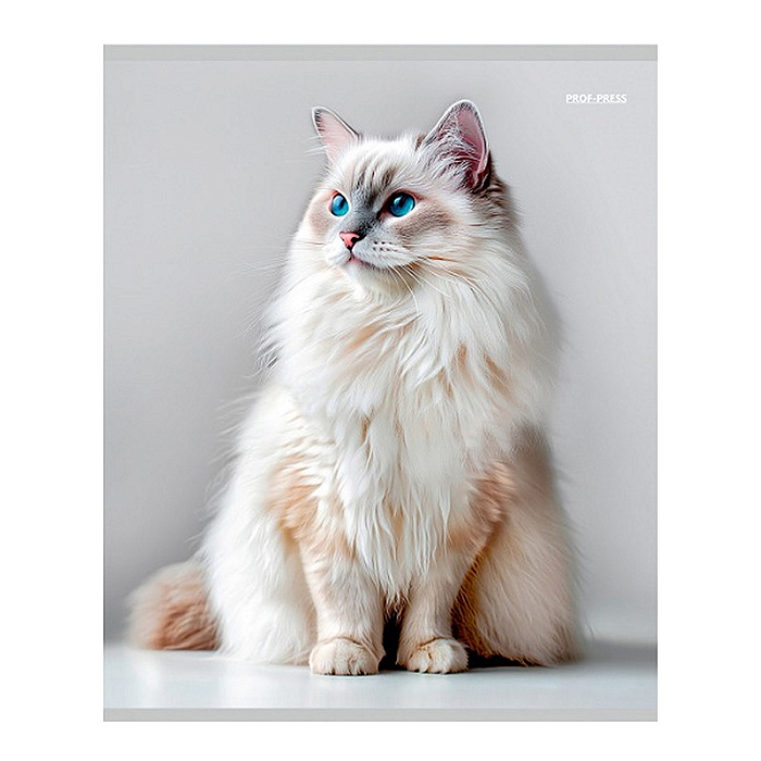 Тетрадь 96л. клетка "Красивые коты"