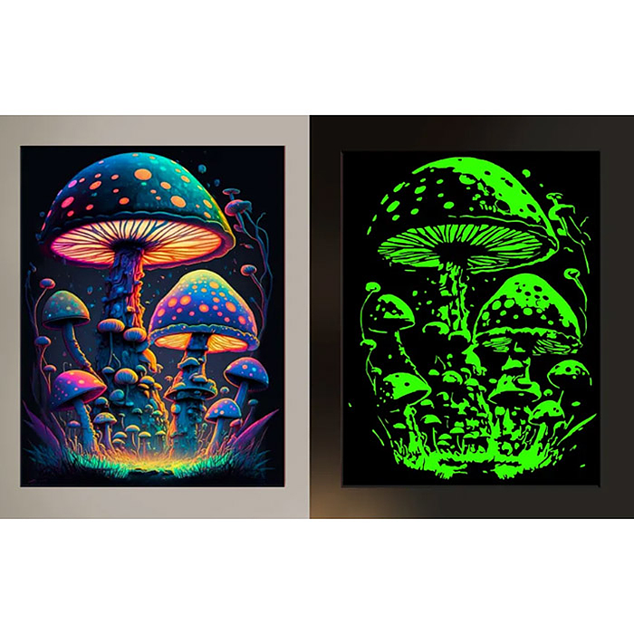 Картина по номерам 30х40 "Фантастические грибы" черный холст светящаяся 15 цветов