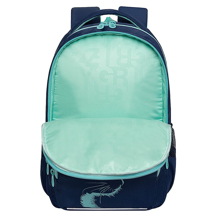 Рюкзак школьный (/1 синий)