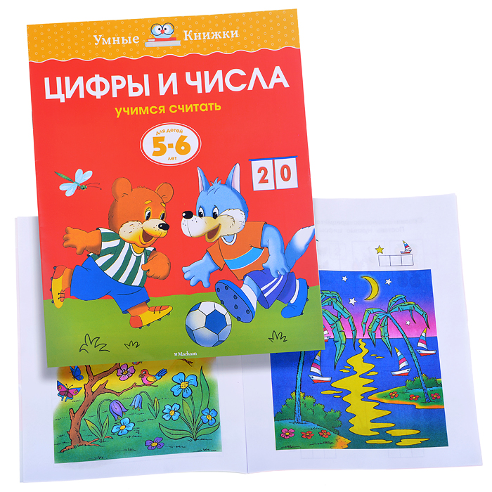 Умная книжка 5-6 лет. Цифры и числа.