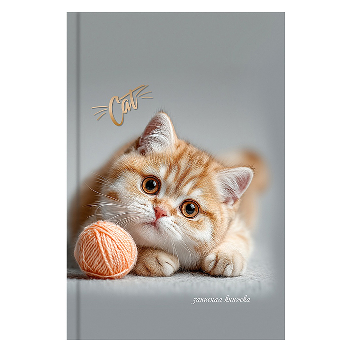 Записная книжка А6 64л. "Котенок с клубком" 7БЦ,глянц.ламинирование,цвет.мелов.обл.