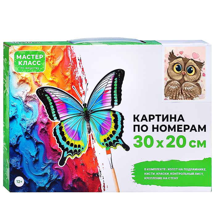 Набор для рисования MKR3020-15 "Картина по номерам 30х20 см. Влюблённая сова" 