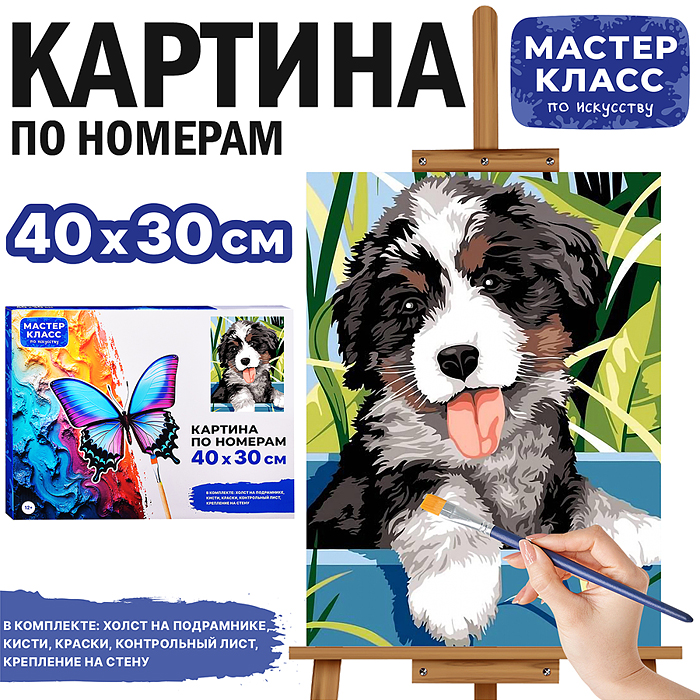 Набор для рисования MKR4030-111 "Картина по номерам 30*40 см. Пушистик"