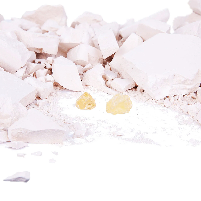 Исторические раскопки Науки с Буки "Найди сокровища!" (янтарь)