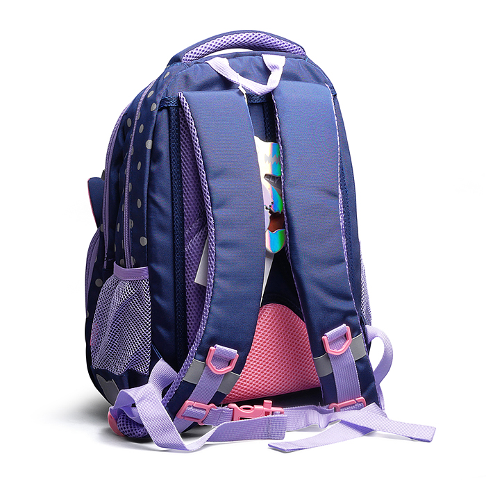 Рюкзак школьный (/2 синий)