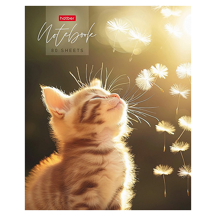 Бизнес-блокнот 80л А5ф 167х216мм 5-цв. блок клетка тв.переплет запечат. "Солнечный котик"