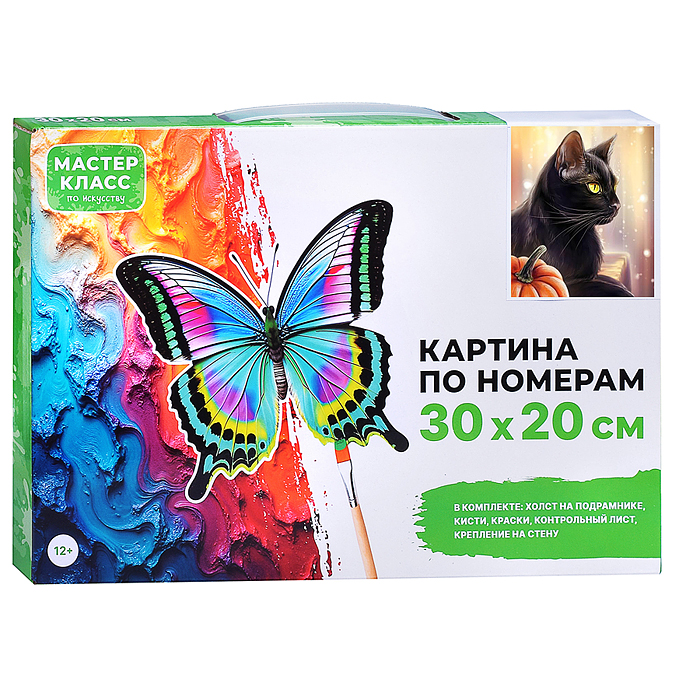Набор для рисования MKR3020-113 "Картина по номерам 20*30 см. Черный кот"