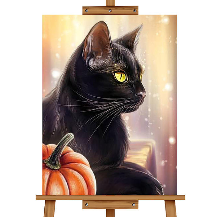 Набор для рисования MKR3020-113 "Картина по номерам 20*30 см. Черный кот"