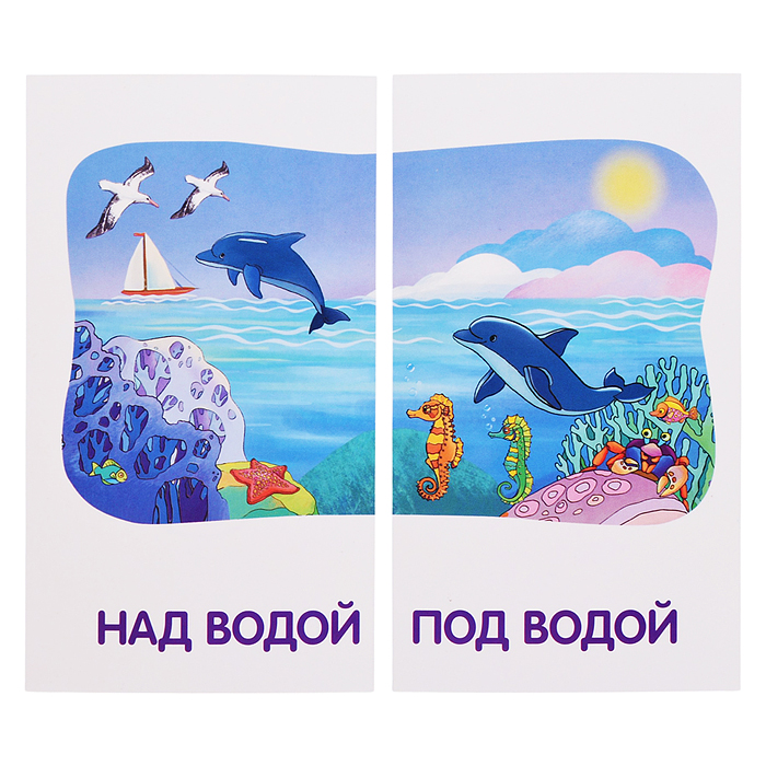 Занимательные карточки. IQ тренажеры. Дошкольное обучение 1. Мяу-гав. Противоположности. 48 карточек