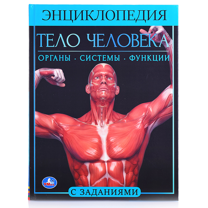 Тело человека. Энциклопедия А4. 