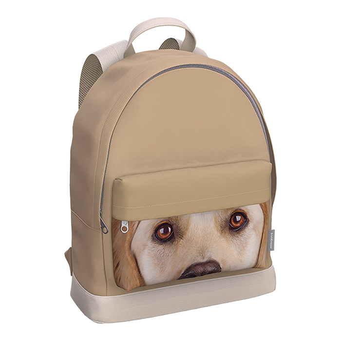 Рюкзак StreetLine с отделением для ноутбука 17L Beige Dog