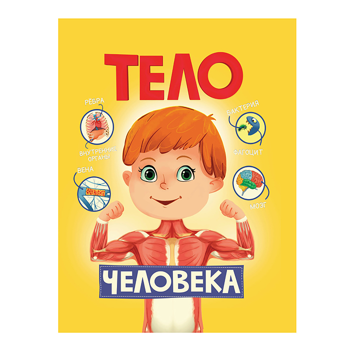 Тело человека